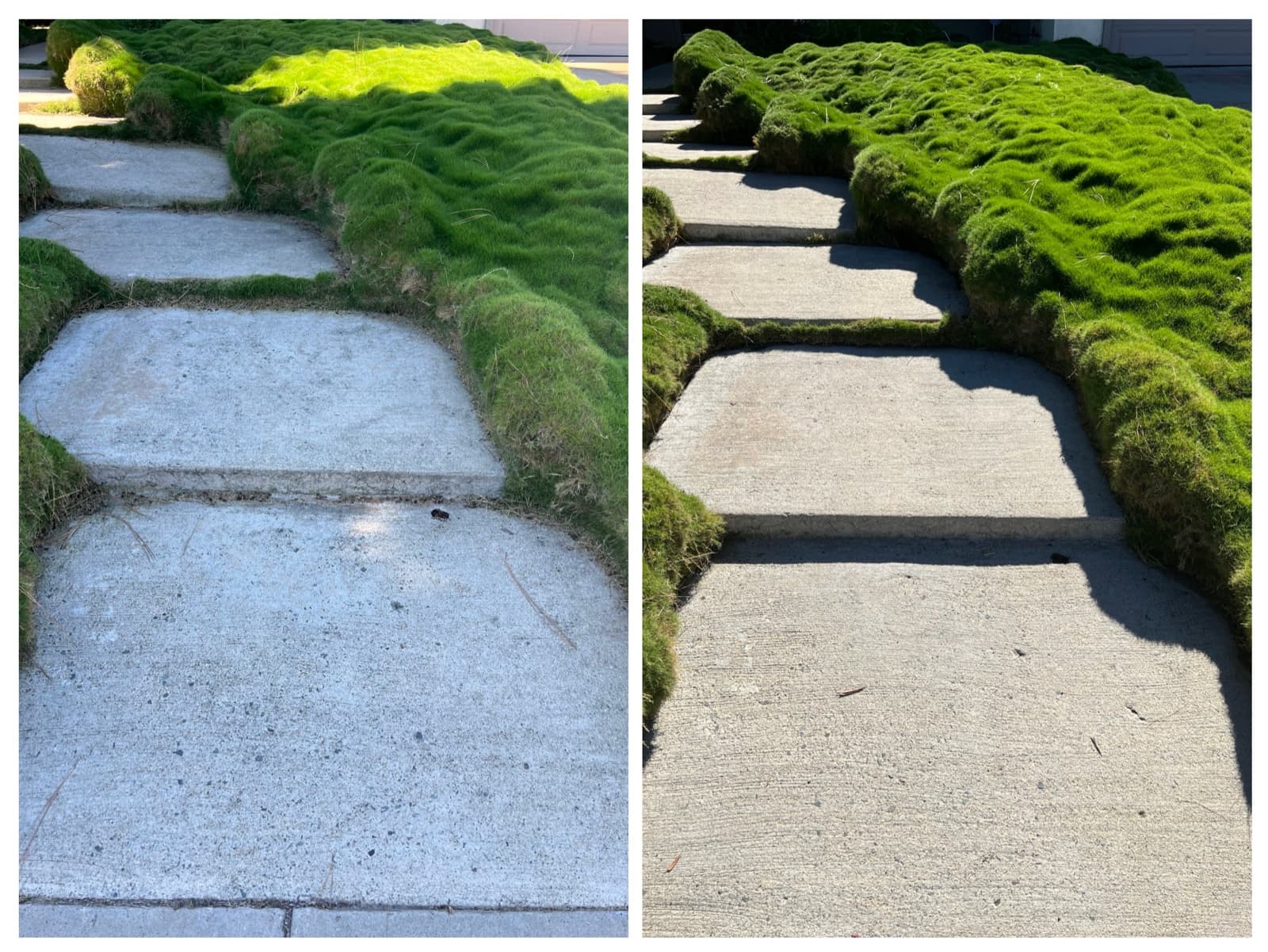 Garden path cleaning — before and after