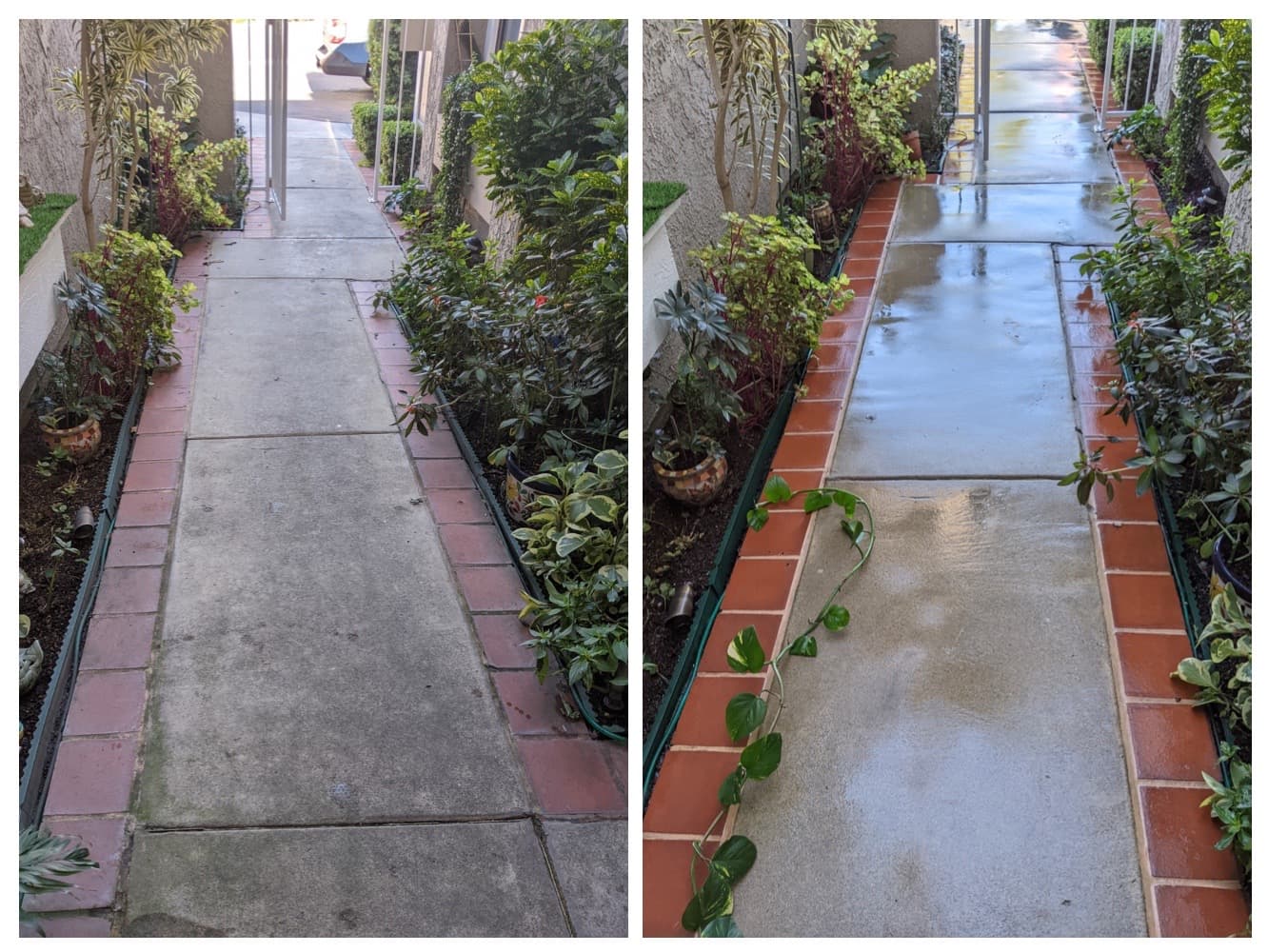 Tile-bordered walkway refresh — before and after