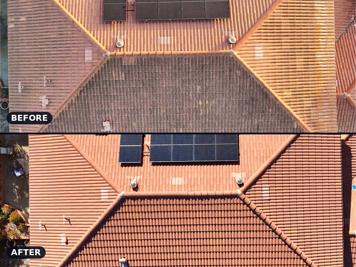 Roof Wash before and after